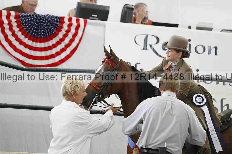 Proof Number 12r14_4488