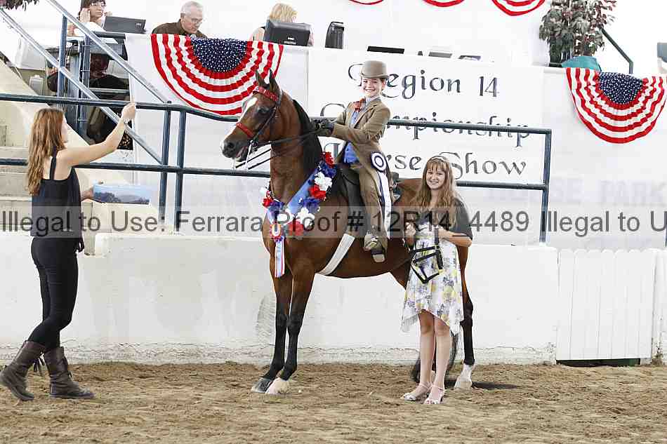 Proof Number 12r14_4489