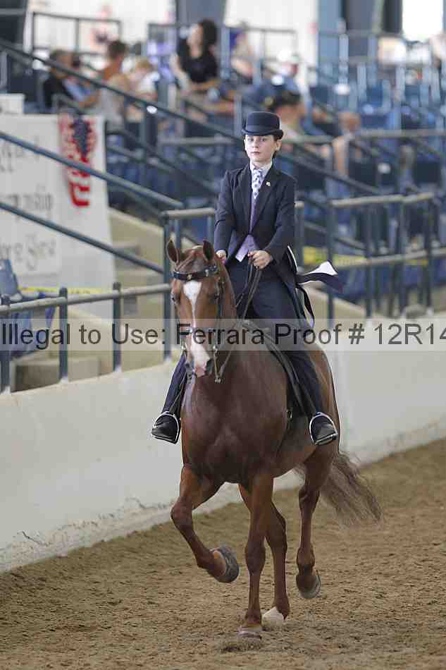 Proof Number 12r14_4498