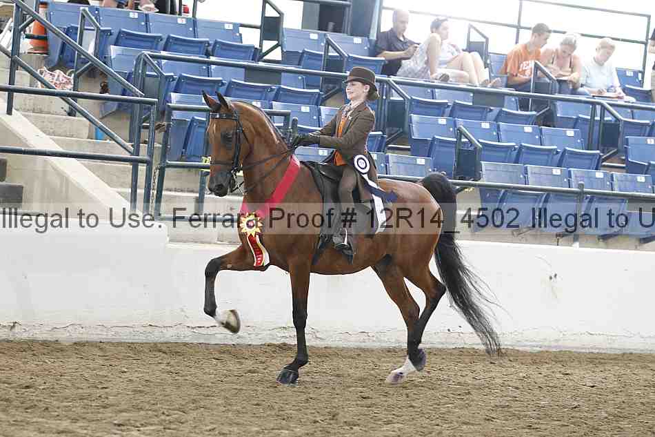 Proof Number 12r14_4502