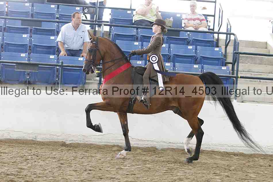 Proof Number 12r14_4503