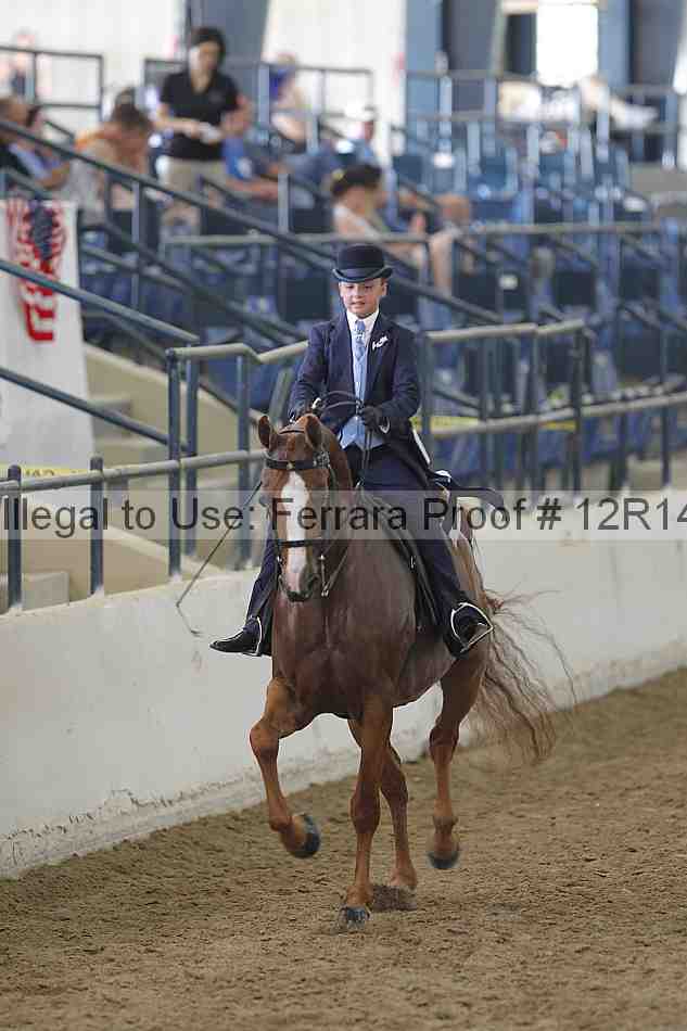 Proof Number 12r14_4504