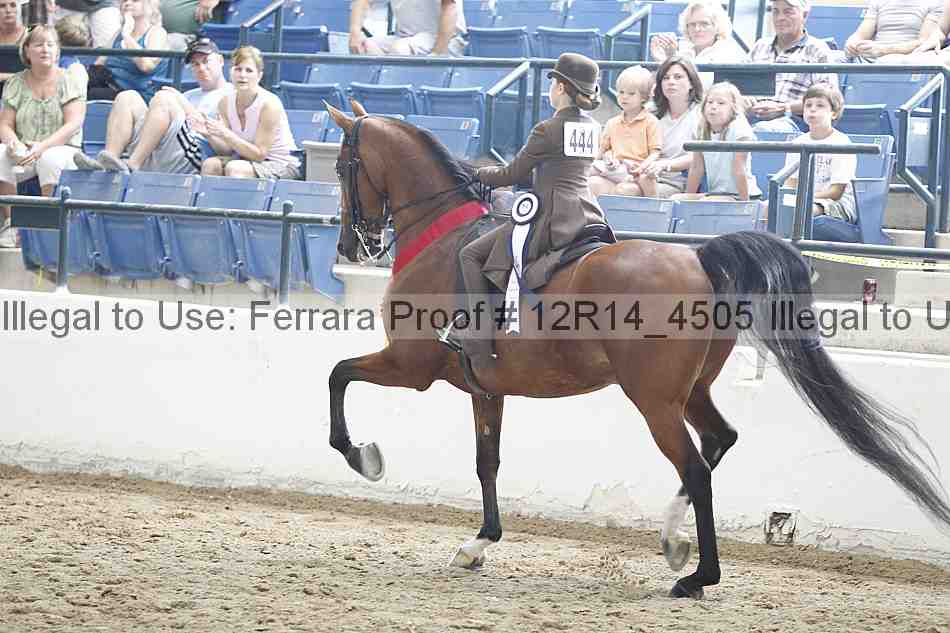 Proof Number 12r14_4505