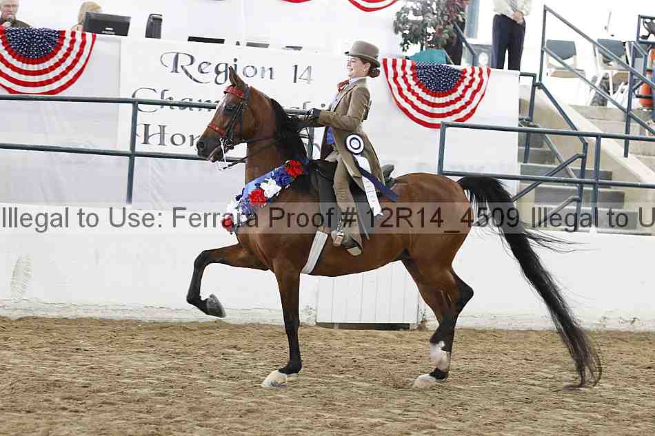 Proof Number 12r14_4509