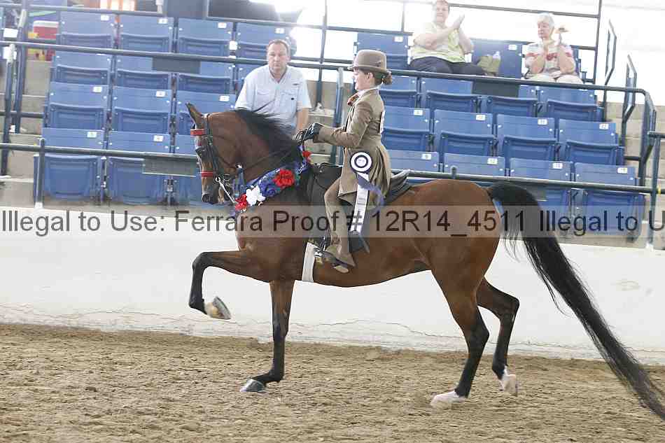 Proof Number 12r14_4511