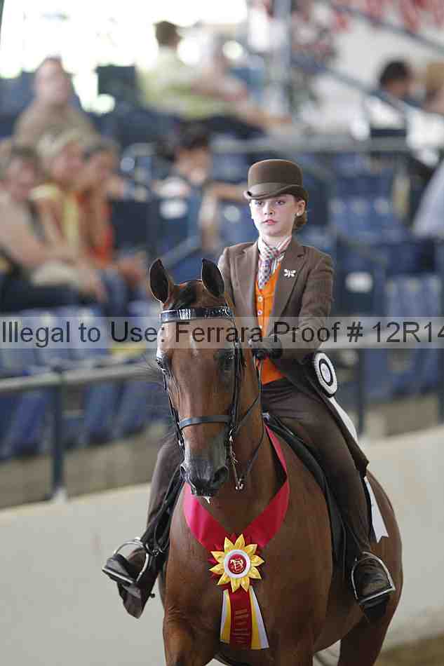 Proof Number 12r14_4517