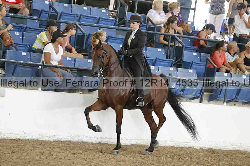 Proof Number 12r14_4533