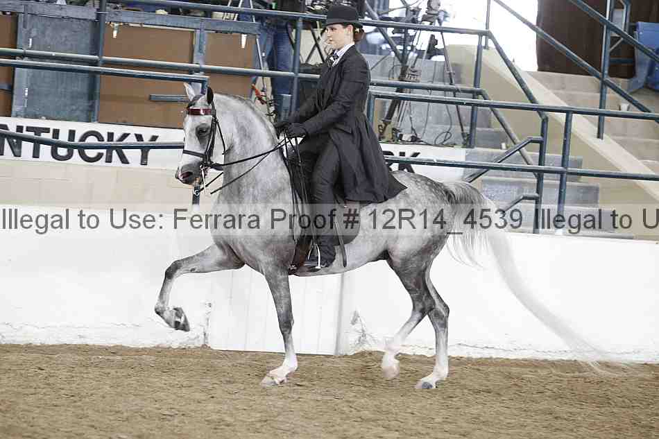 Proof Number 12r14_4539