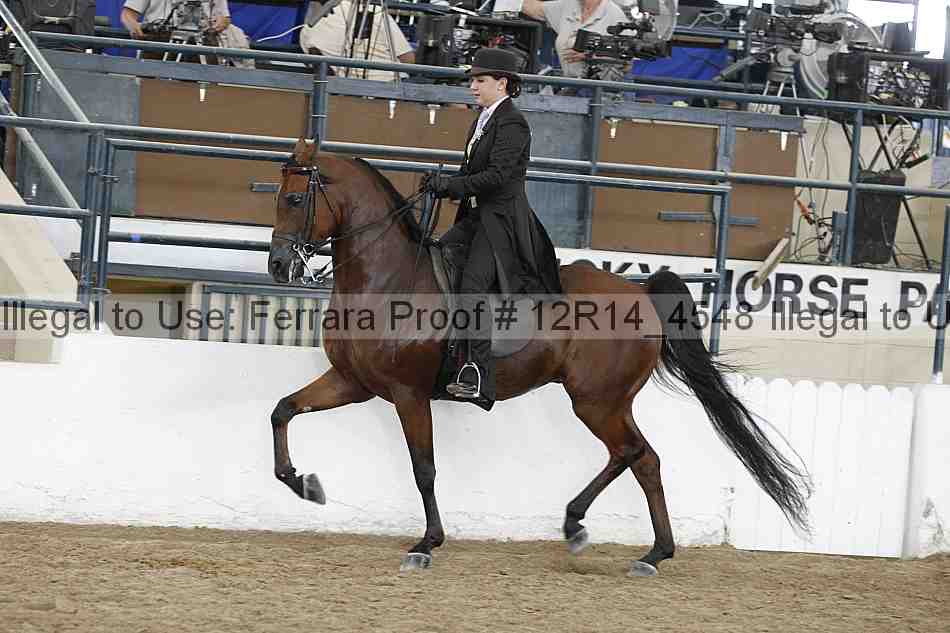 Proof Number 12r14_4548