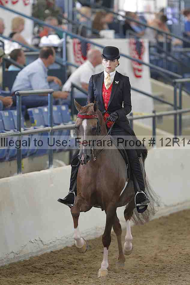 Proof Number 12r14_4551