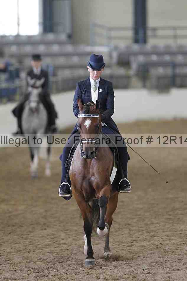 Proof Number 12r14_4552
