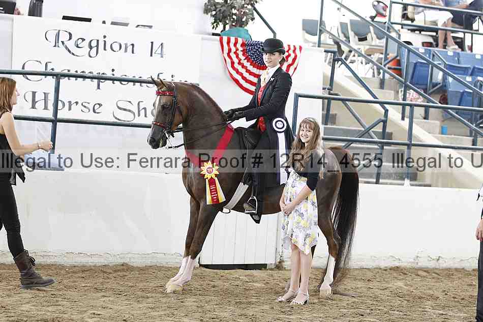 Proof Number 12r14_4555