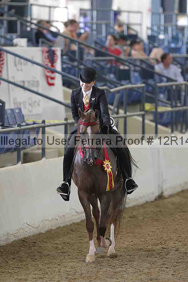 Proof Number 12r14_4559