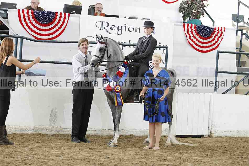 Proof Number 12r14_4562