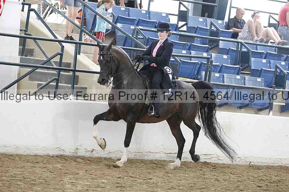 Proof Number 12r14_4564