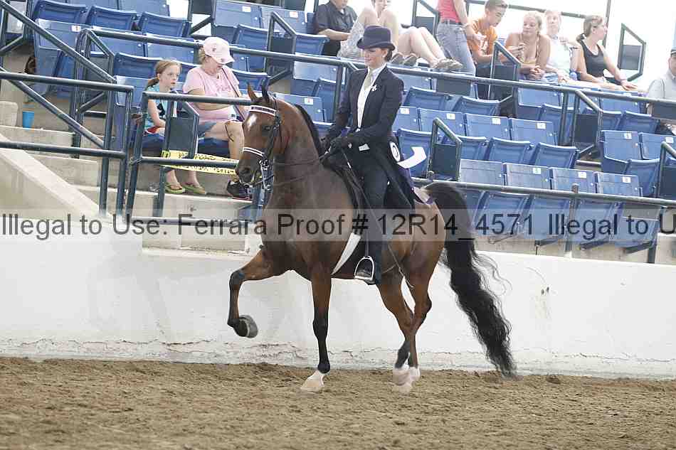 Proof Number 12r14_4571