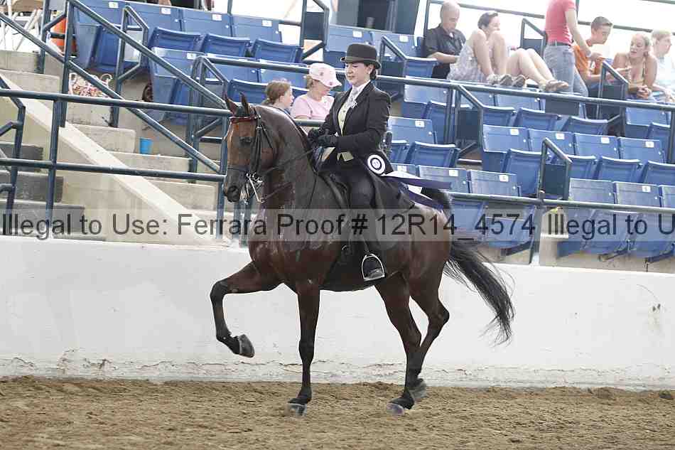 Proof Number 12r14_4574