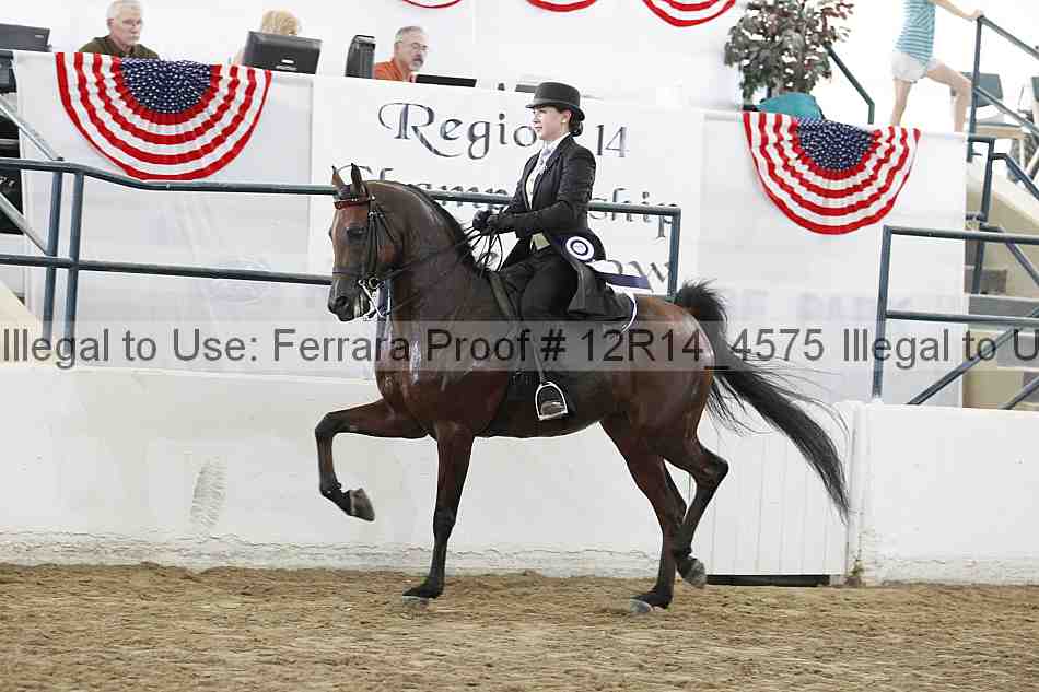 Proof Number 12r14_4575