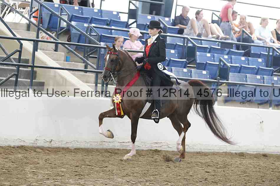 Proof Number 12r14_4576