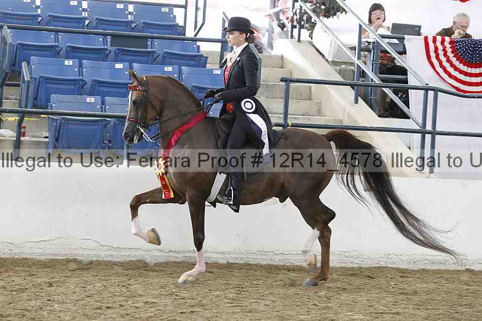 Proof Number 12r14_4578