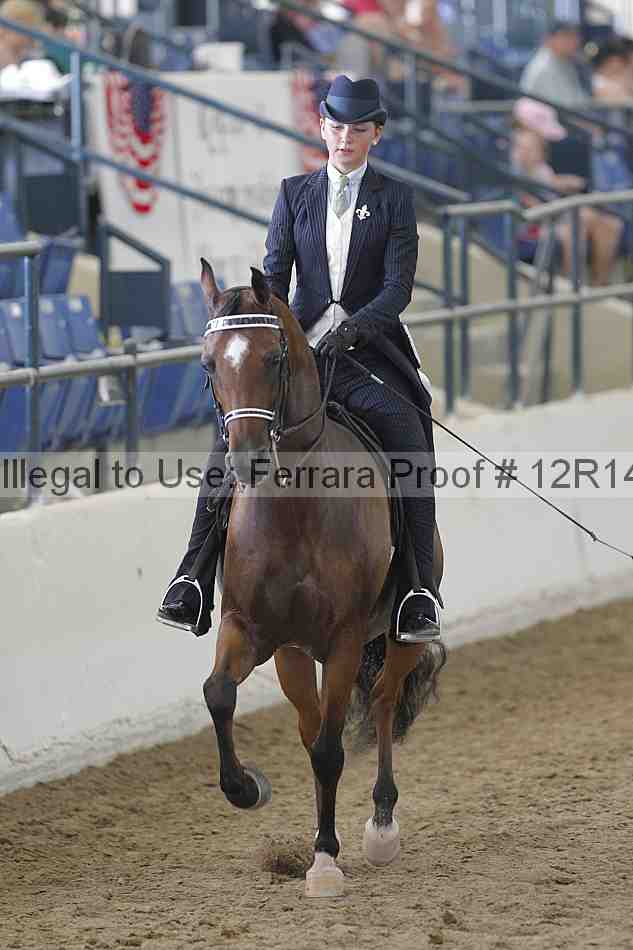 Proof Number 12r14_4579