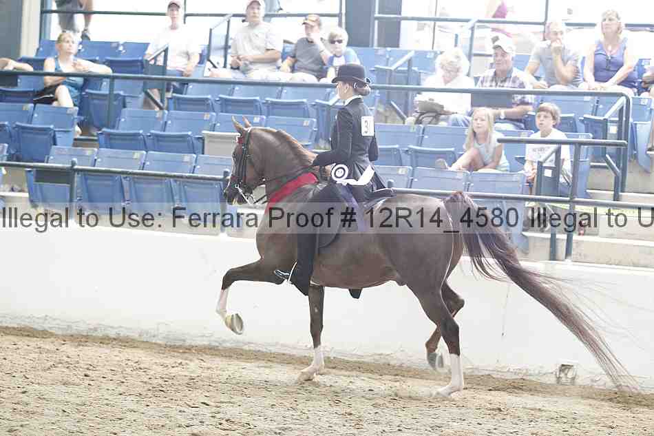 Proof Number 12r14_4580