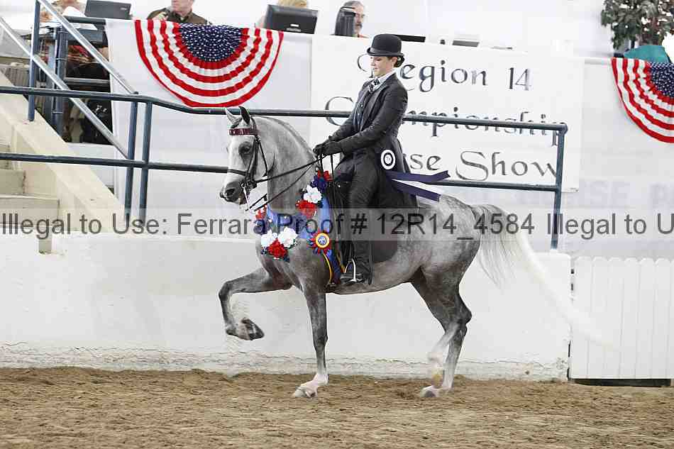Proof Number 12r14_4584
