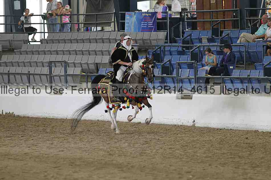 Proof Number 12r14_4615
