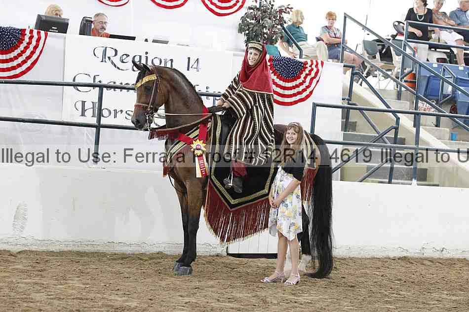 Proof Number 12r14_4619