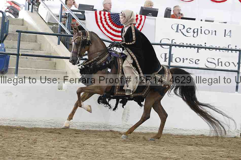 Proof Number 12r14_4629