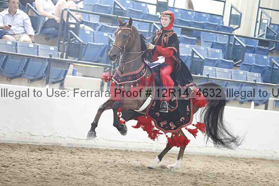 Proof Number 12r14_4632