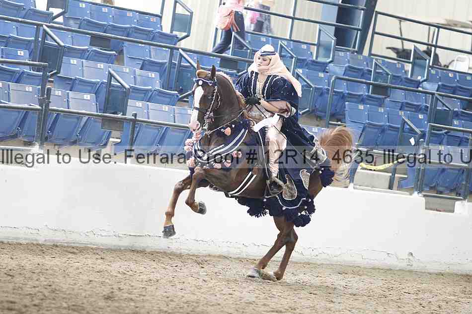 Proof Number 12r14_4635