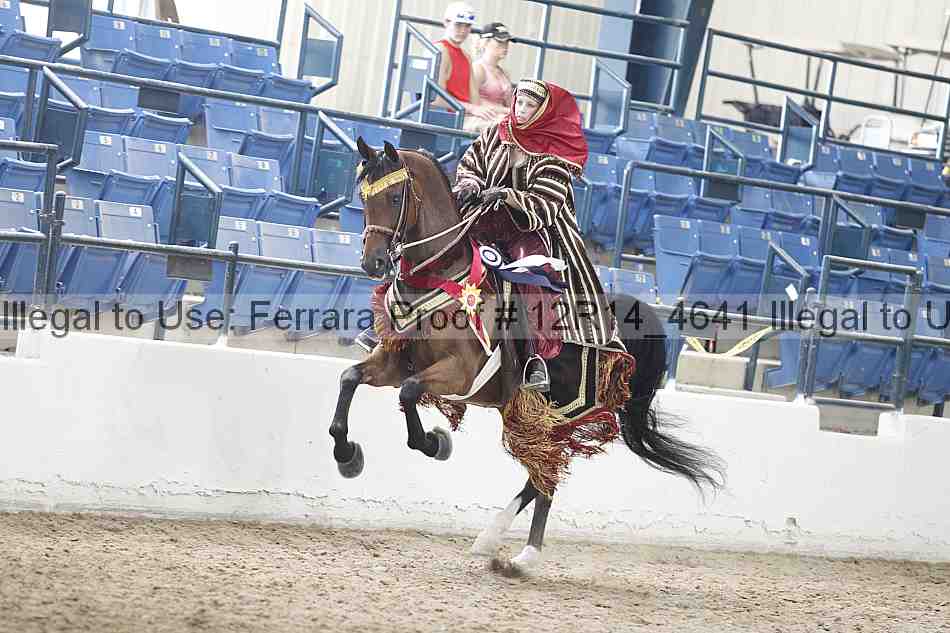 Proof Number 12r14_4641
