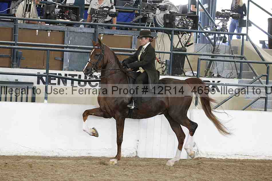 Proof Number 12r14_4656