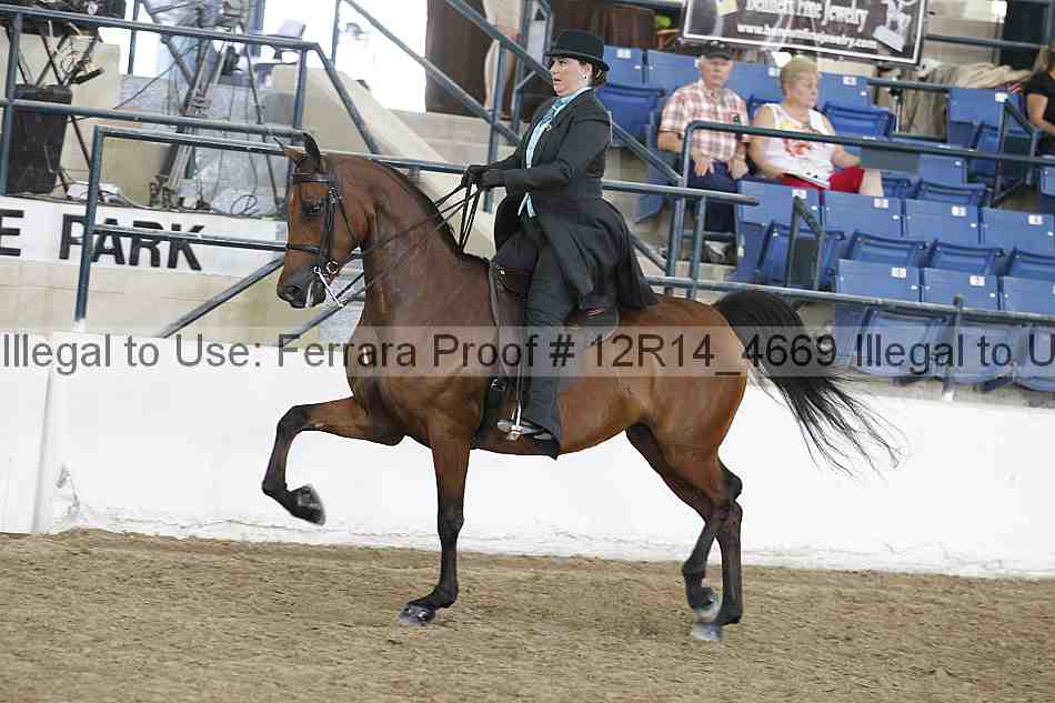 Proof Number 12r14_4669