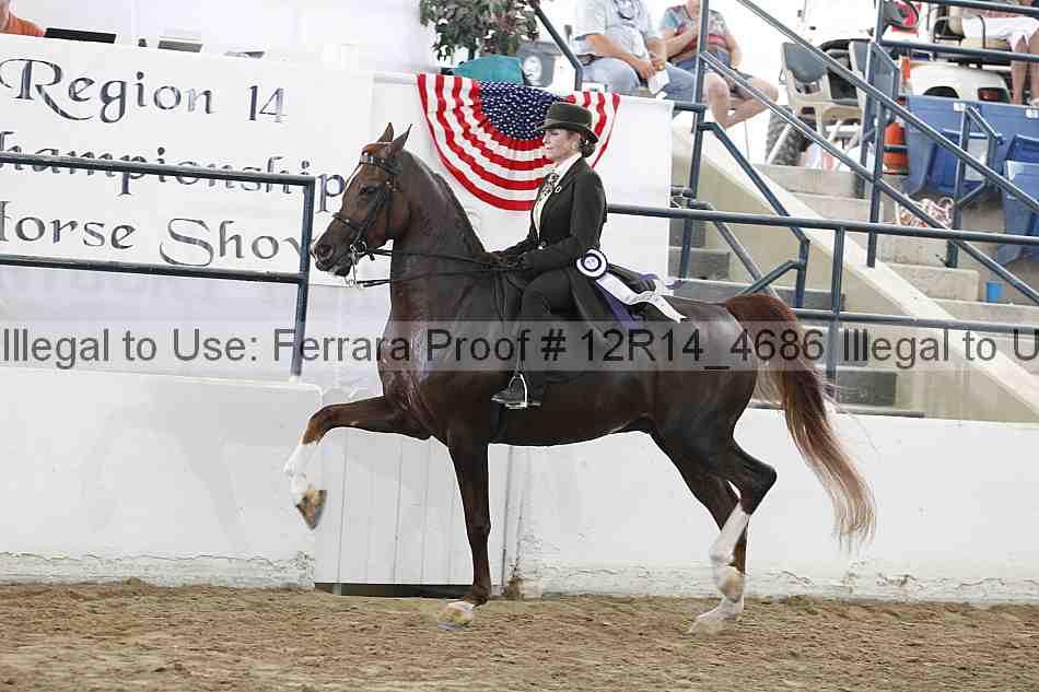 Proof Number 12r14_4686