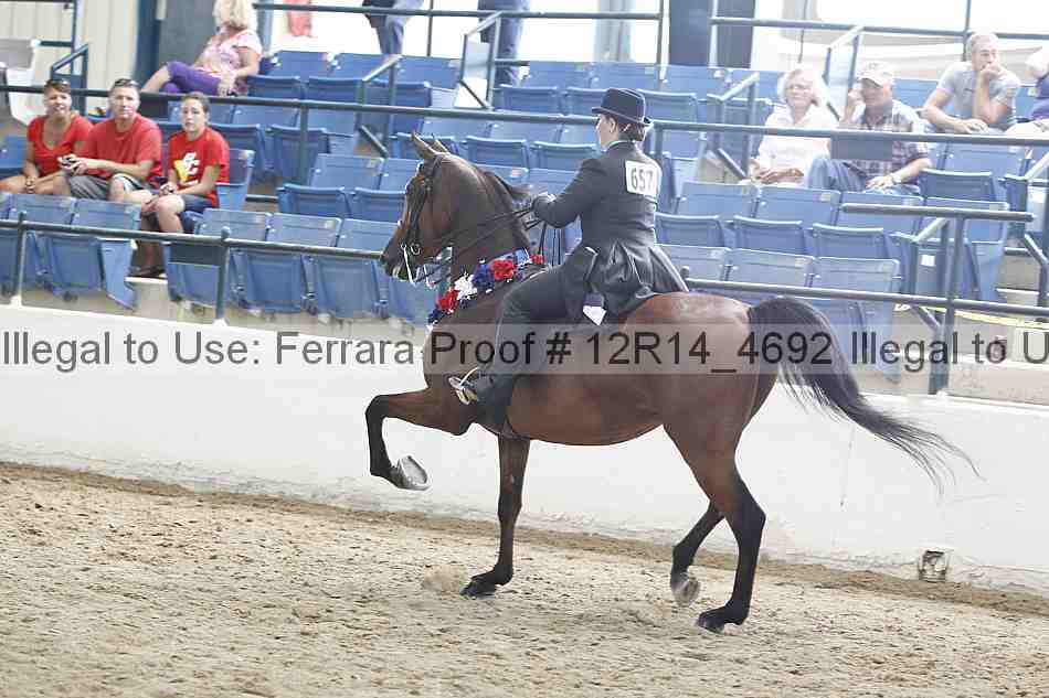 Proof Number 12r14_4692