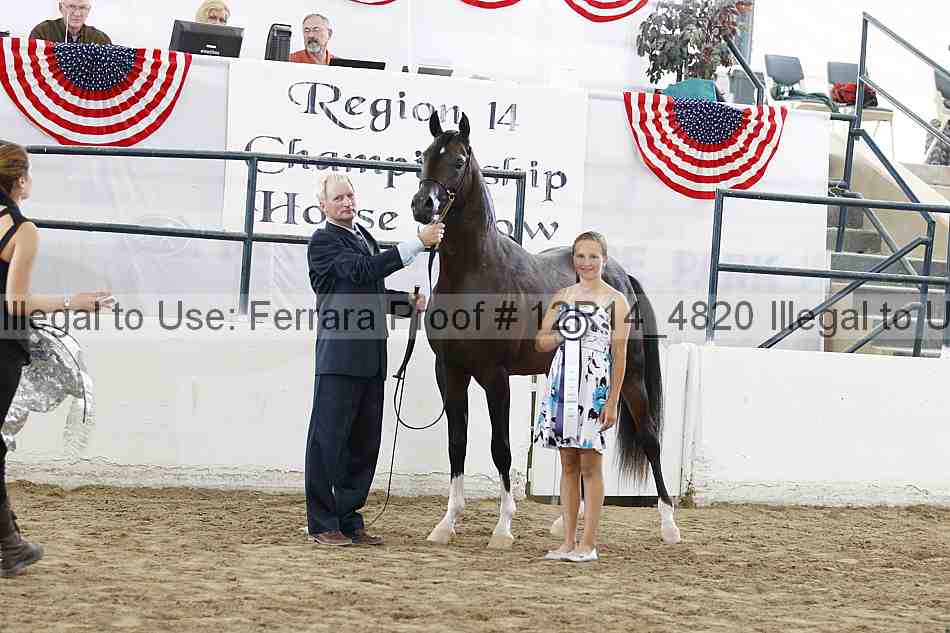 Proof Number 12r14_4820