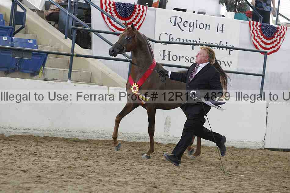 Proof Number 12r14_4829