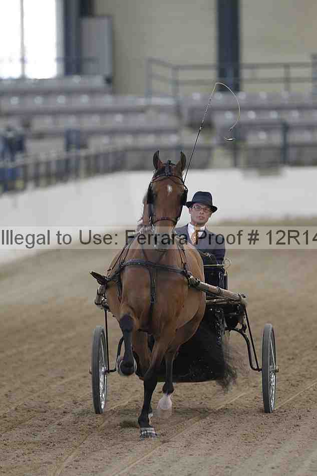 Proof Number 12r14_5022
