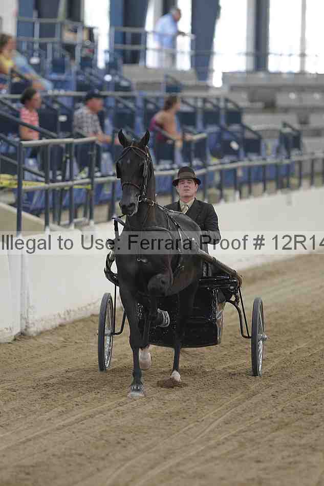 Proof Number 12r14_5023