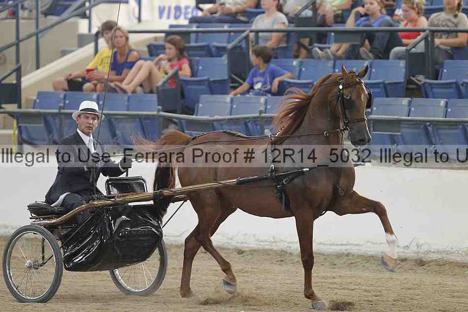 Proof Number 12r14_5032