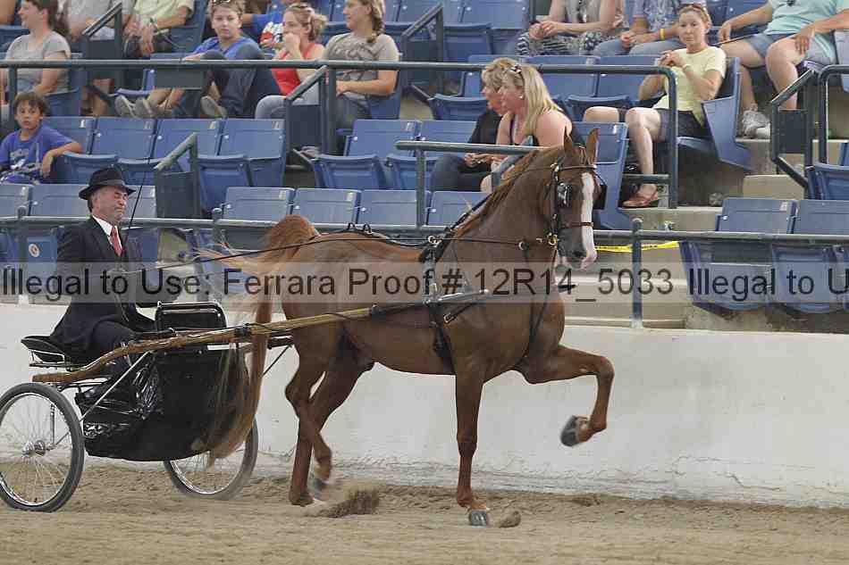 Proof Number 12r14_5033