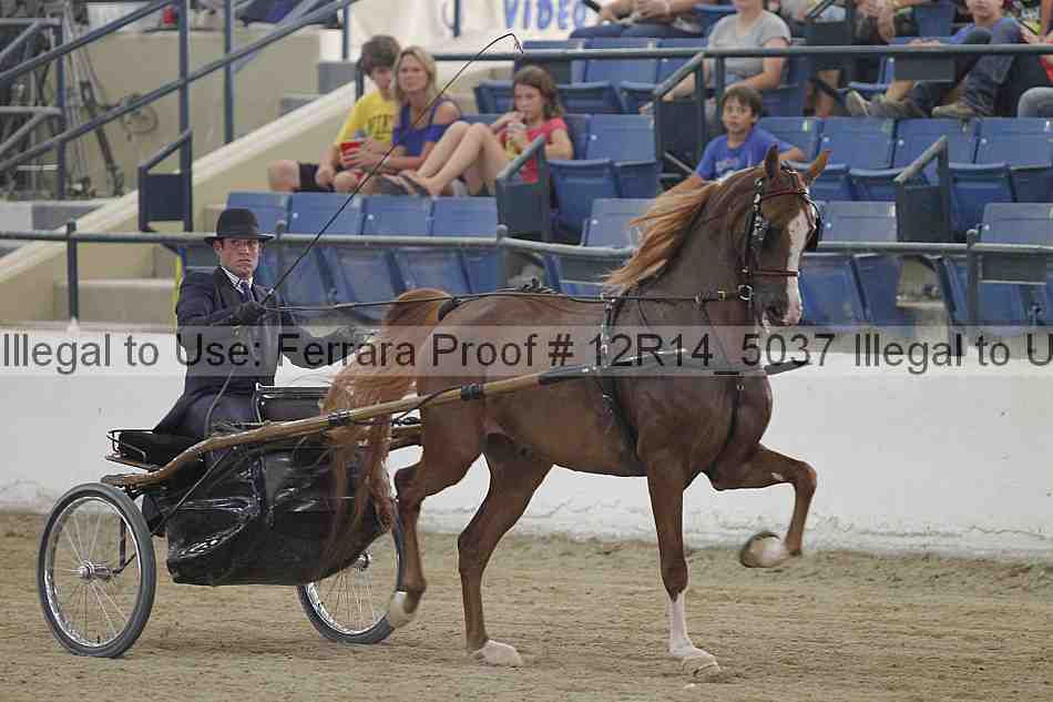 Proof Number 12r14_5037
