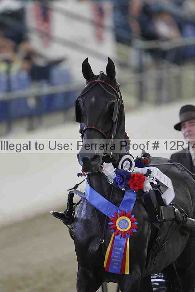 Proof Number 12r14_5063
