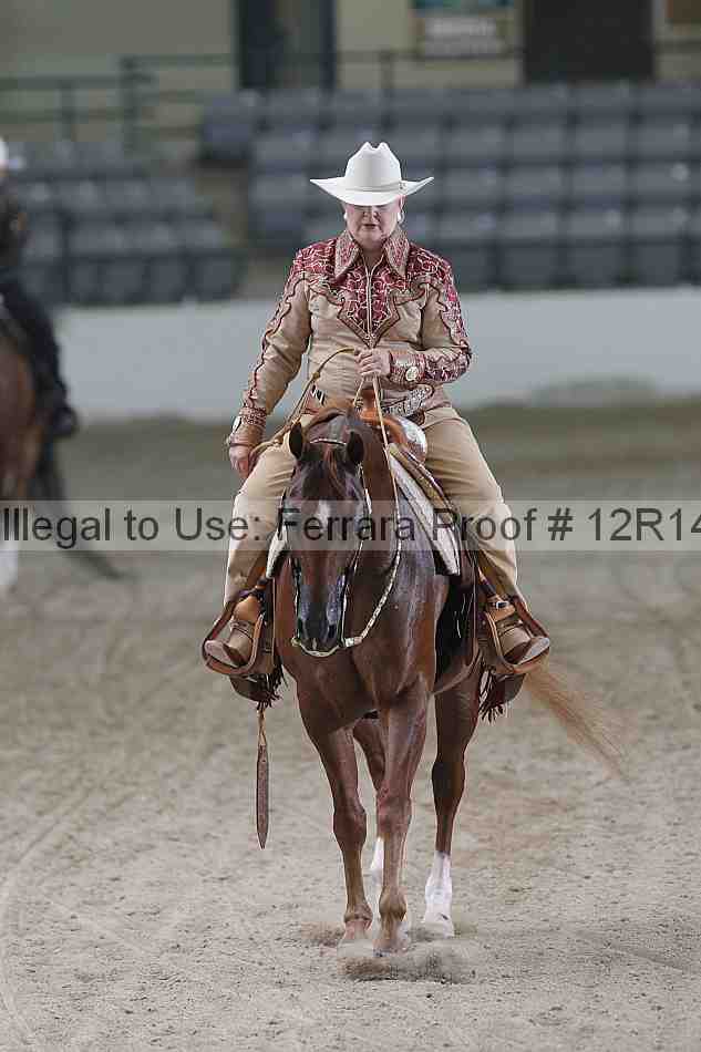 Proof Number 12r14_5096