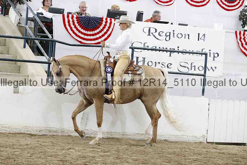 Proof Number 12r14_5110
