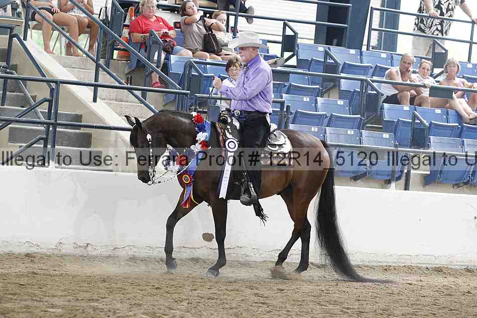 Proof Number 12r14_5120