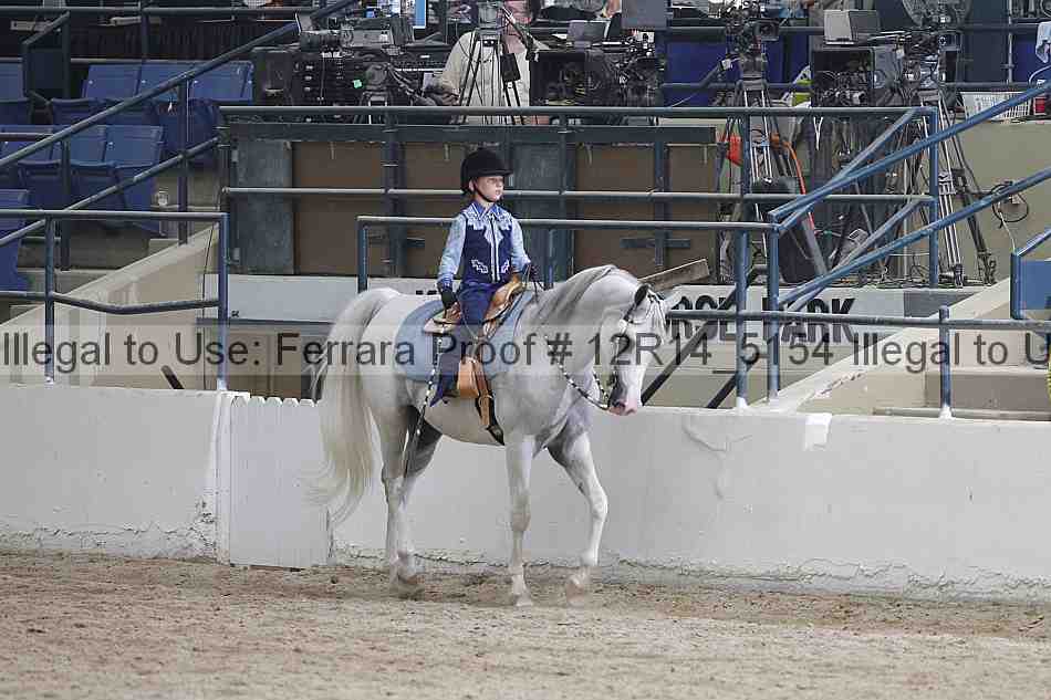 Proof Number 12r14_5154