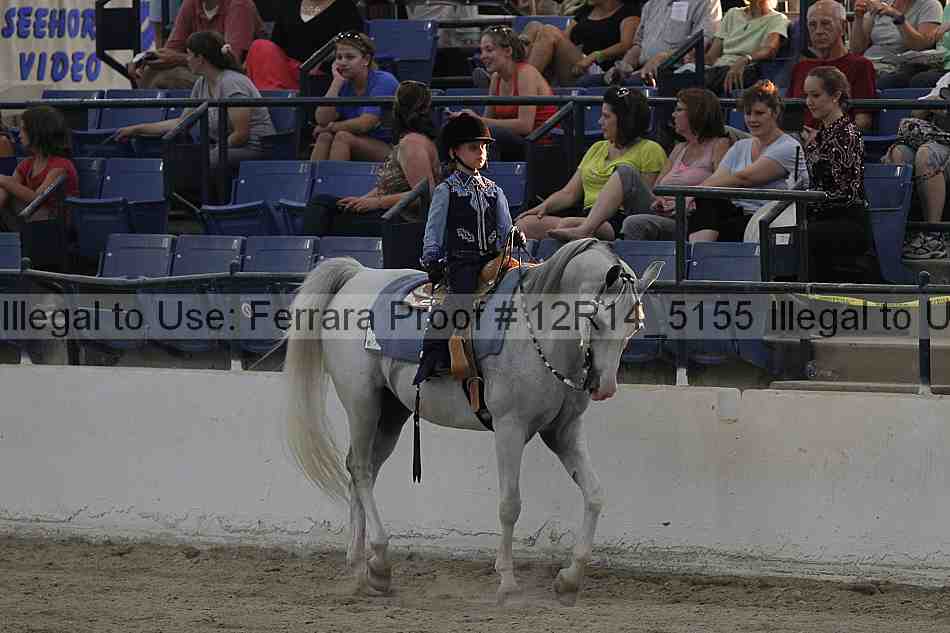 Proof Number 12r14_5155